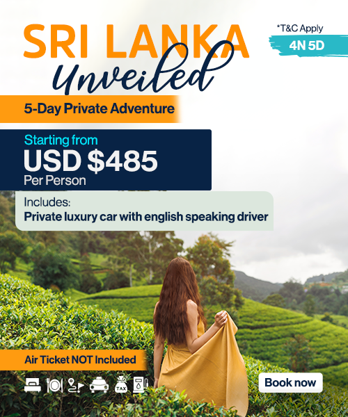 TravelScape 3 - 2 copy 7