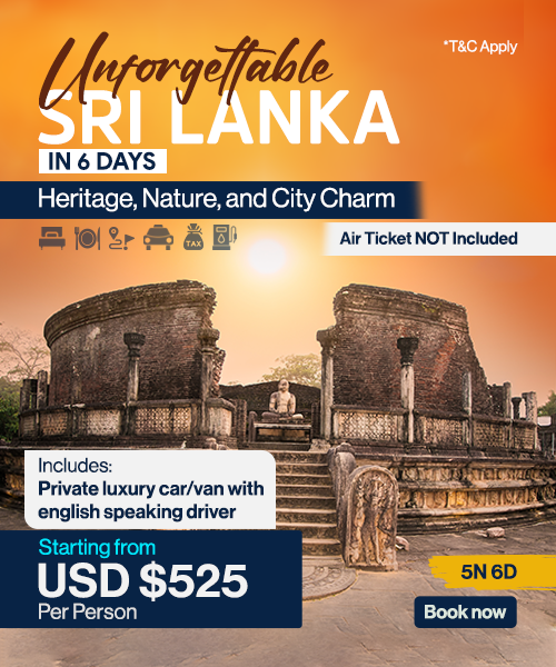 TravelScape 3 - 2 copy 9
