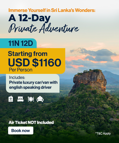 TravelScape 5 - 1